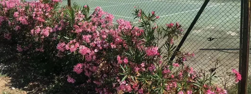 Tennisbane Camping Cap Leucate