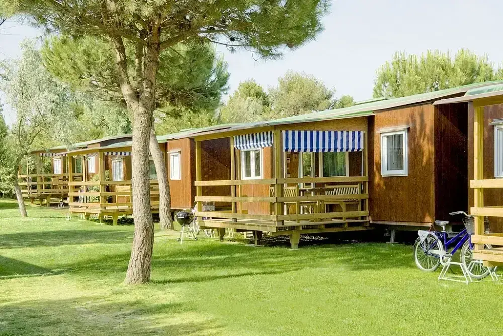 markise screen Wohnmobil mit Reißverschluss Verstellbarem Panoramafenster(Stoff+Netz), Sicht- und Sonnenschutz, Universeller RV Markisen Sichtschutz mit Kompletten Kits, 2,2 m Hoch (2,4 m Breit) Auto & Motorrad Gravel Bike Shimano Road Online-Exclusive Color:Brown Man Brown