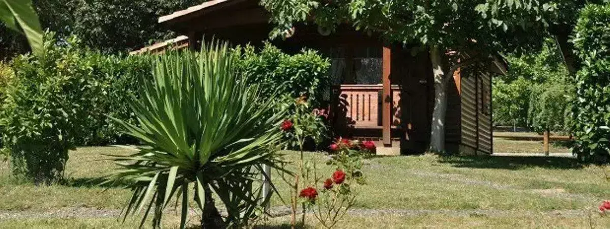 Chalet-Bungalow-Huisje Camping Caravaning Midi-pyrénées