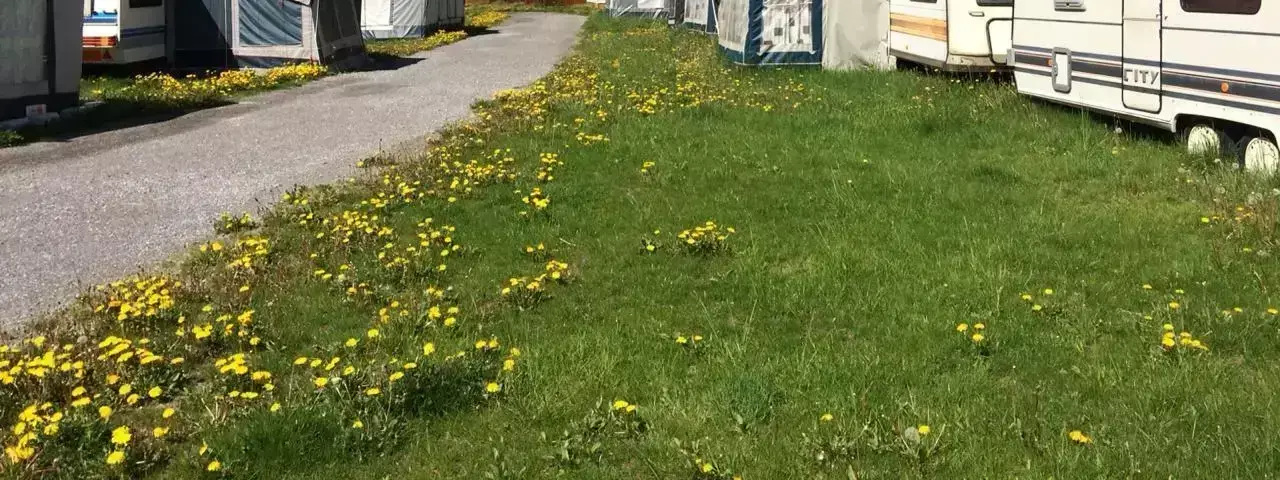 Vue Camping Casal