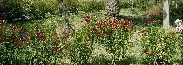 Cottage-Holiday Home Camping Centro Vacanze Oriente