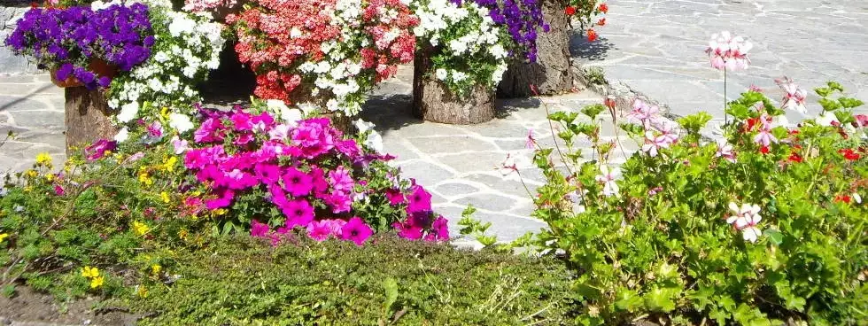 Entrance Camping Cima Piazzi