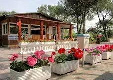 Vendégház - Nyaraló Camping CittÁ Di Massa