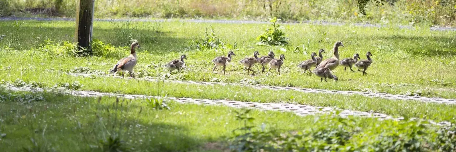 Staanplaats Camping Comblain au Pont - ArdenParks