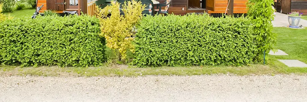 Mobilheim Camping Communal de Cudrefin