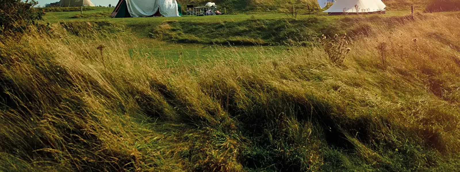 Tent Camping Corfwater