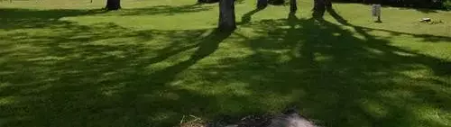 Obecné Camping Dahmen