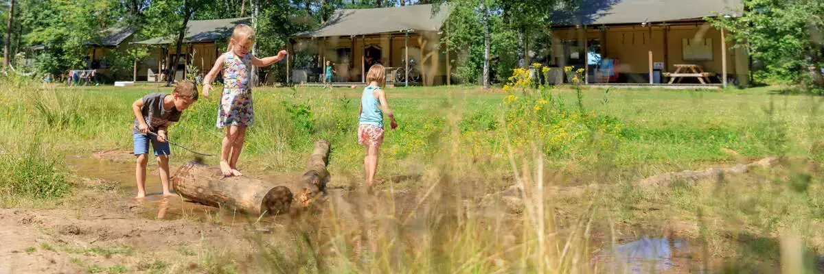 Tenda Safari Camping De Flaasbloem - Rcn