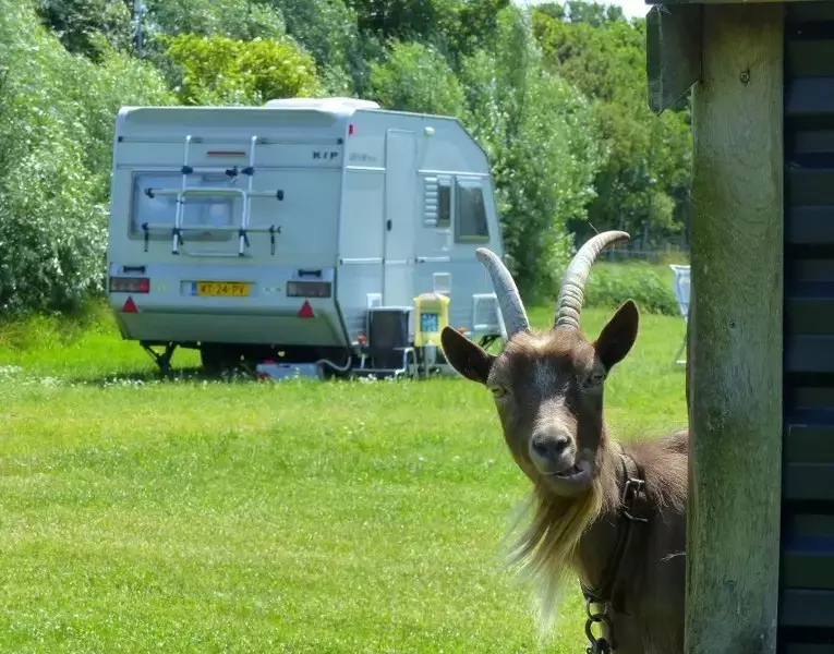 Mobile home Camping de Gouw