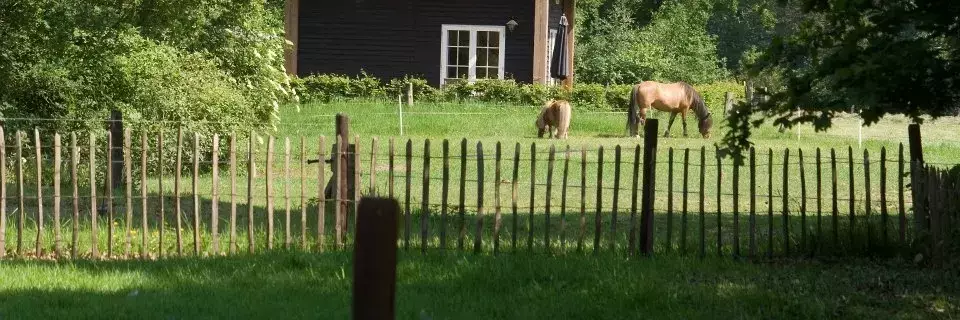 Chata - Rekreační dům Camping De Grimberghoeve