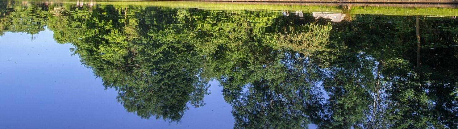 View Camping De Haan - Ntkc (members only)