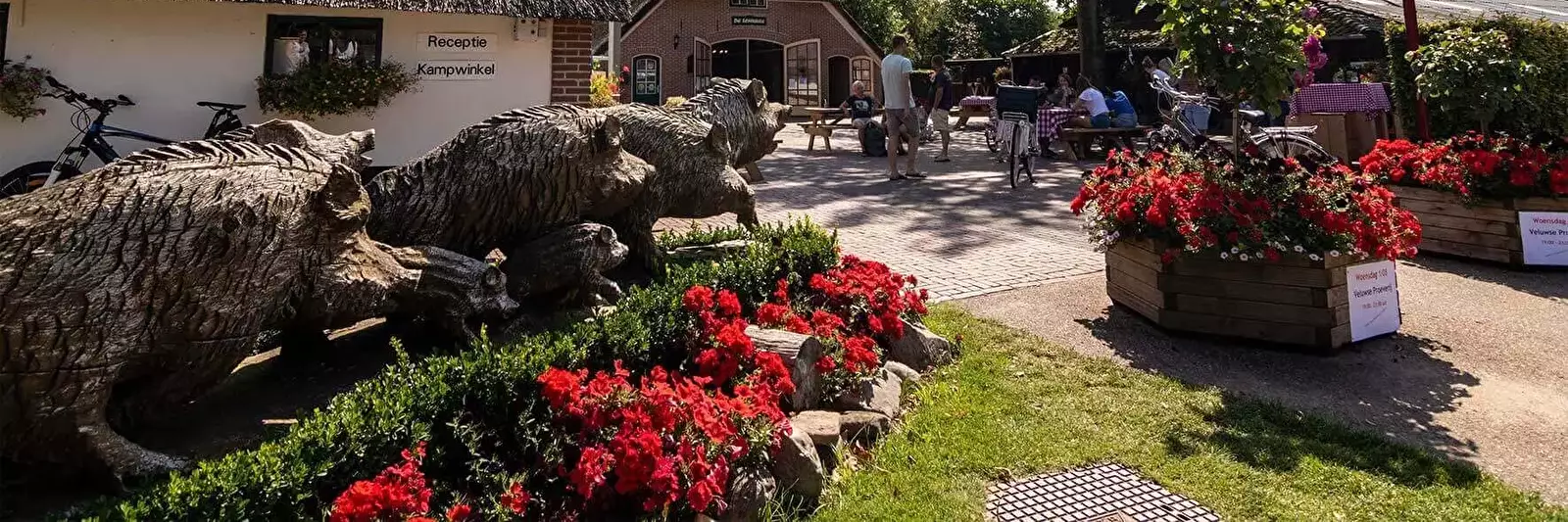 Locatie Camping De Helfterkamp