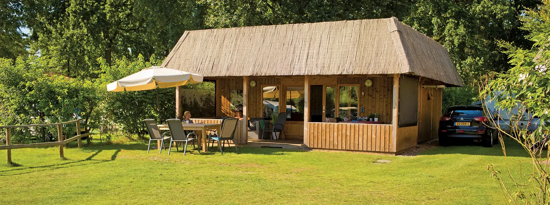 zeltheringe schraubbar Ferropro 24x schraubbare aus robustem Stahl–Mit Gewinde, Bit-Aufsatz & Auszieher–Tragebox für Camping, Zelte & Outdoor-Perfekter Halt auf hartem & weichem Boden, zum spannen und absichern Sport & Freizeit Streak:Blue CGLRybO Klapptisch Campingtisch Camping Year_2024_Make_Dodge_Model_Durango_Engine_6.4L Gas
