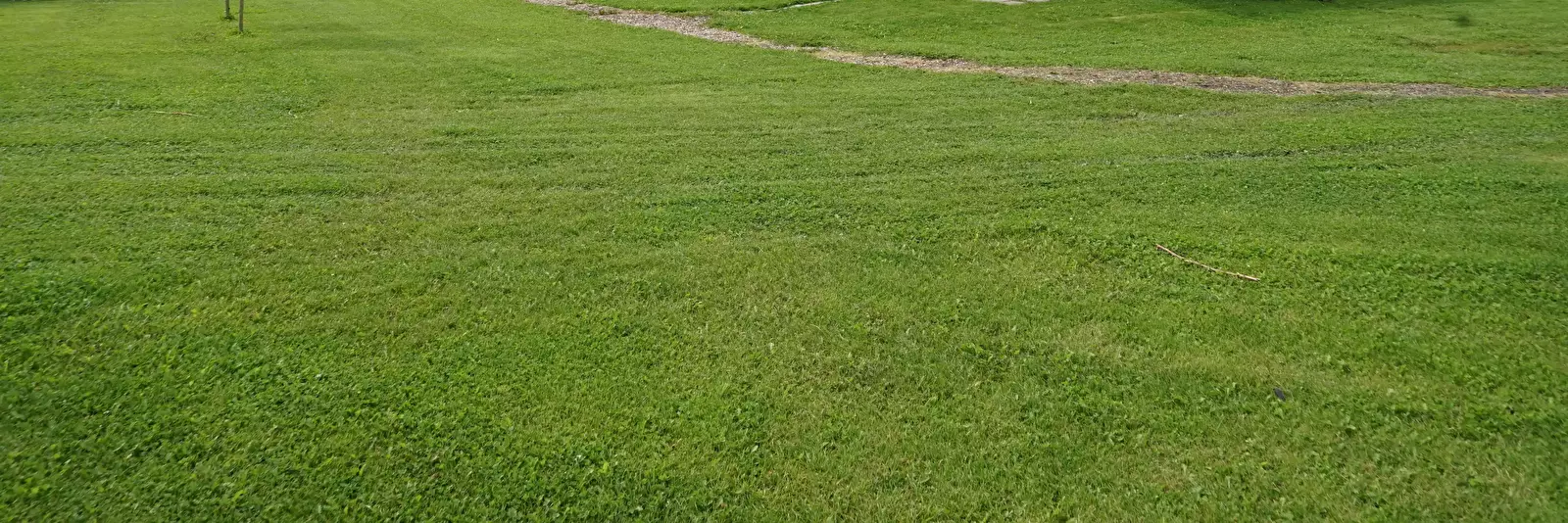 Camping De Kolibrie