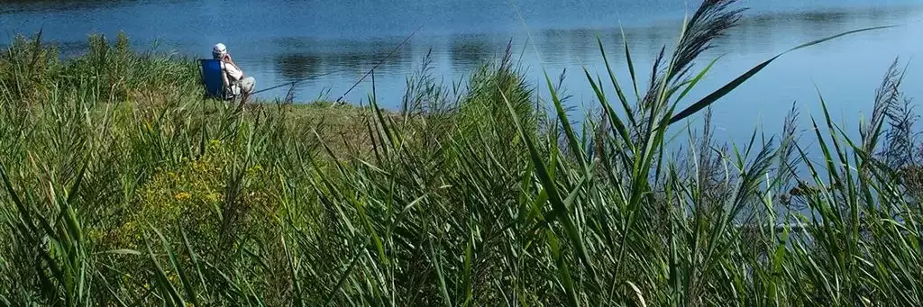 Watersports Camping De Kreekoever