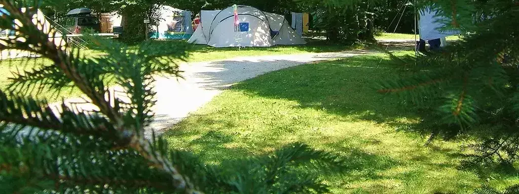 Tent Camping De La Forêt