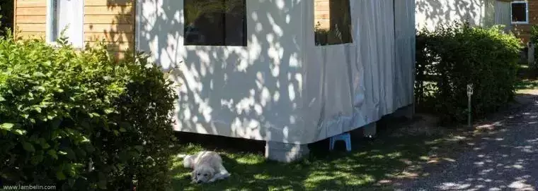 Chalet-Bungalow Camping de la Grappe Fleurie