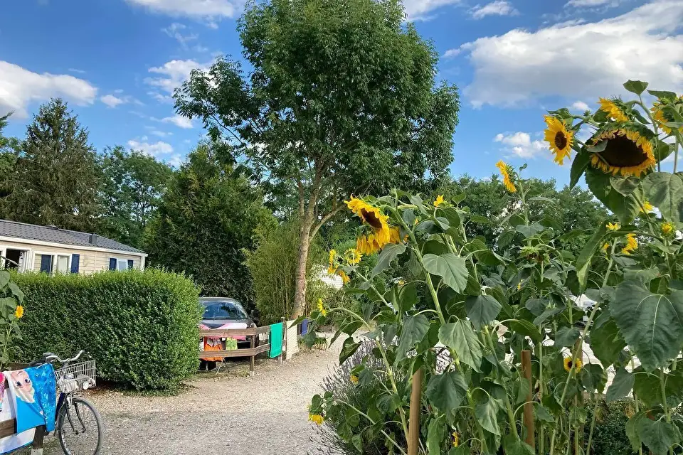 Camping de la Trye