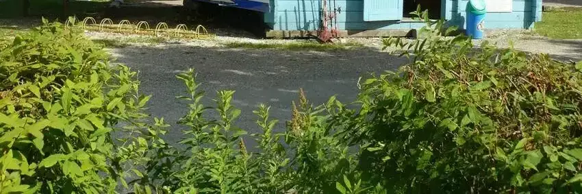 Winkel-Supermarkt-Shop Camping De L'arquebuse