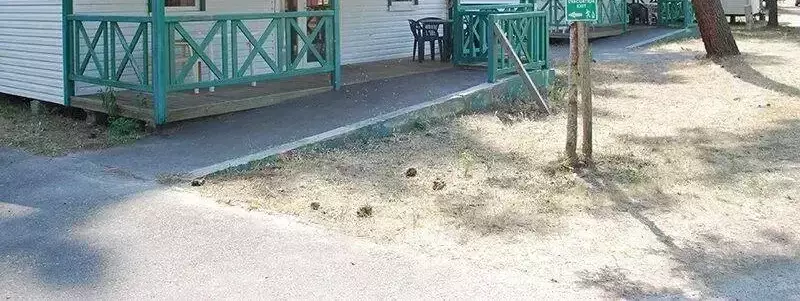 Chata - Rekreační dům Camping De Maubuisson