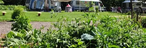 Tent Camping de Peelbloem