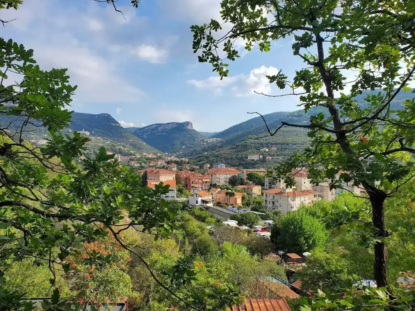 Obecné Camping Delfin