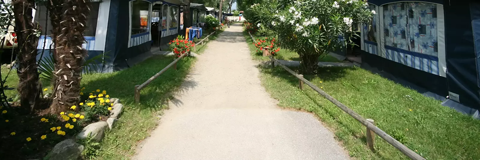 Tält Camping Delta