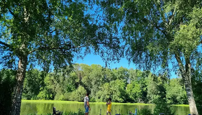 Camping des Halles - Onlycamp