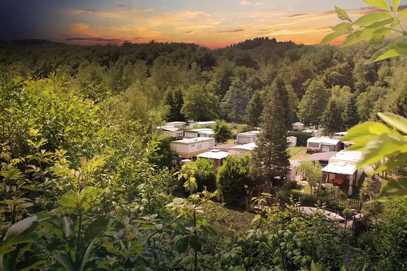 Uitzicht Camping d'Houlifontaine - Lodg'ing Nature Camp Ardennes