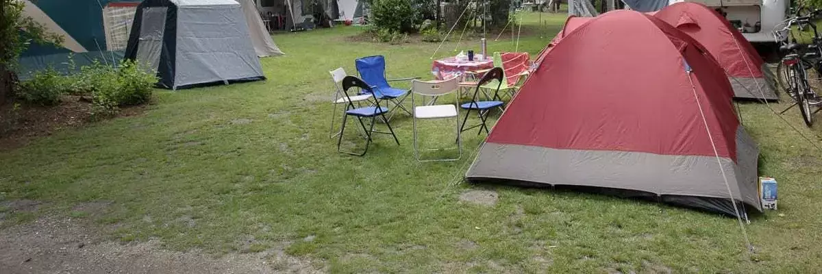 Stan Camping Distelloo