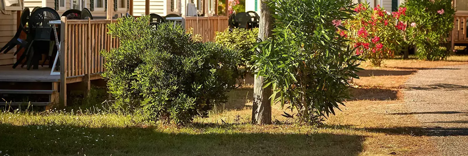 Casa Mobile Camping Domaine d'Anghione - Tohapi