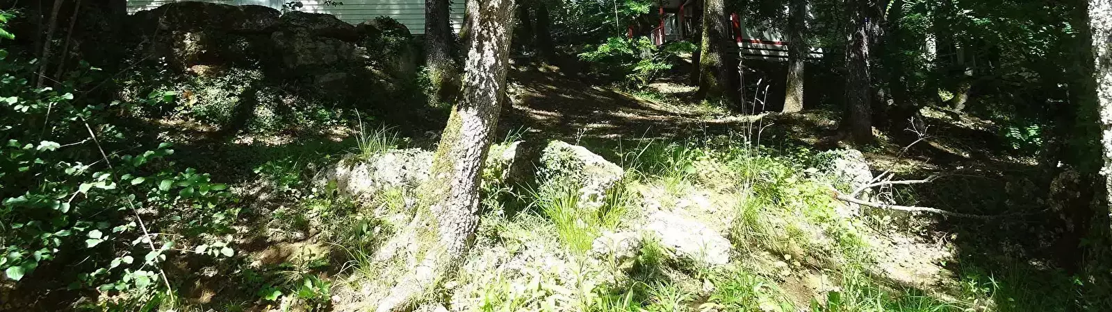 Algemeen Camping Domaine De La Colombière