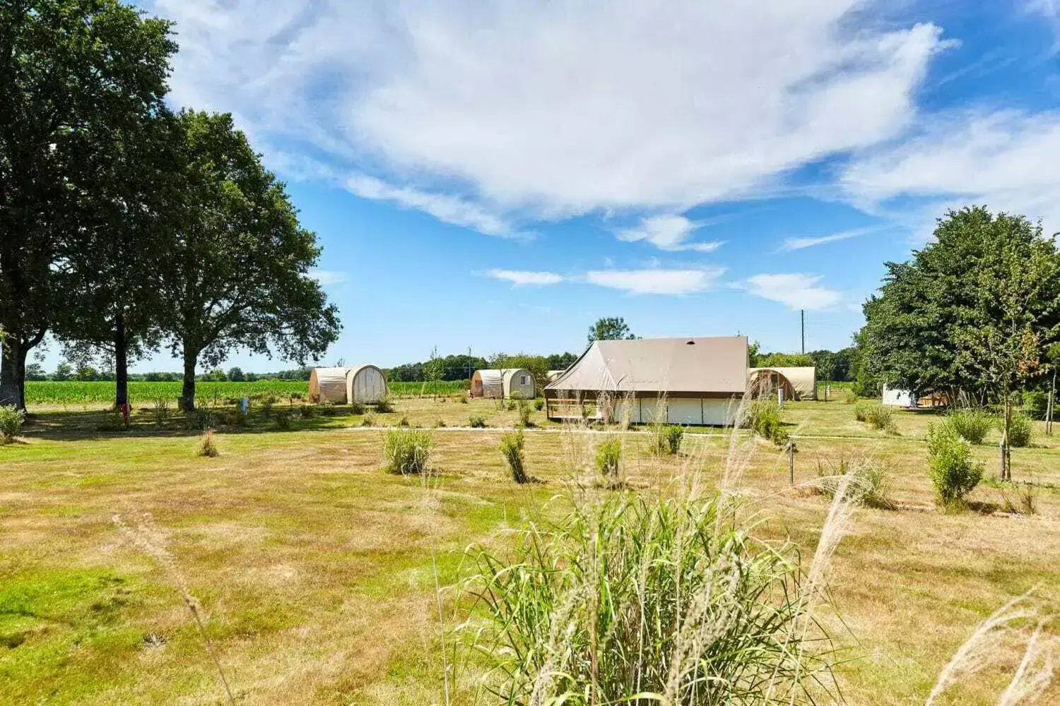 Uitzicht Camping Domaine de l'Oiselière
