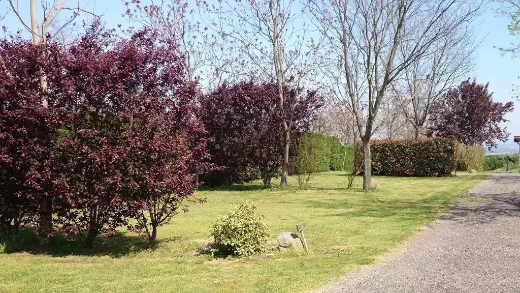 Posizione Camping Du Bas Larin