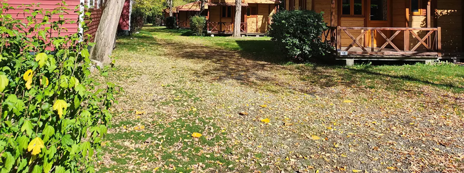 Chalet-Bungalow-Huisje Camping du Lac Mercus