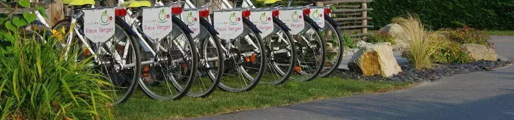 Noleggio biciclette Camping Du Vieux Verger