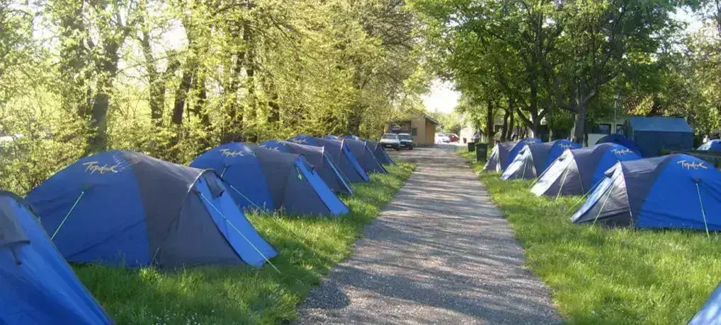 Staanplaats Camping Dunav