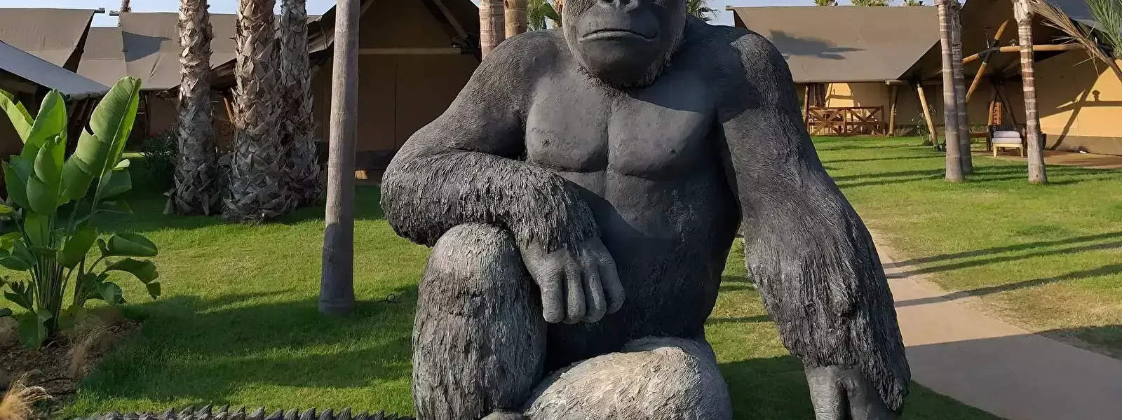 Algemeen Camping El Delfín Verde