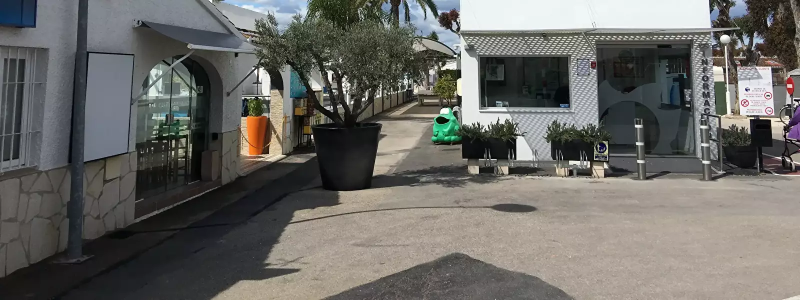 Algemeen Camping El Naranjal