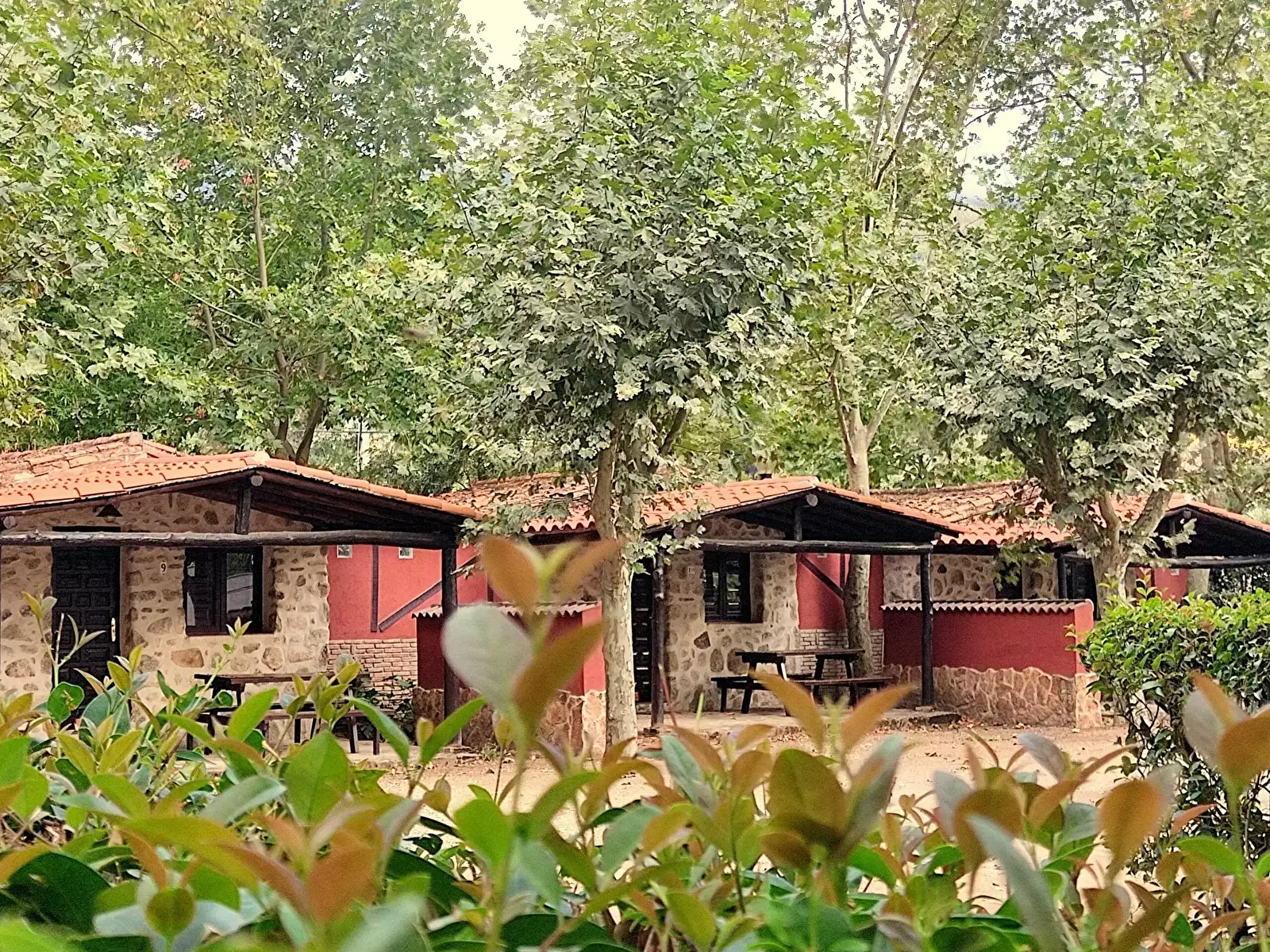 Chata - Rekreační dům Camping El Pinajarro