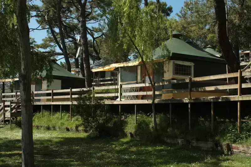 Tent Camping El Rosal