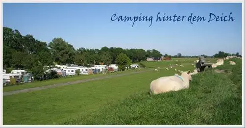 Camping Elbdeich in Kollmar, Deutschland (2026) | JetCamp.com