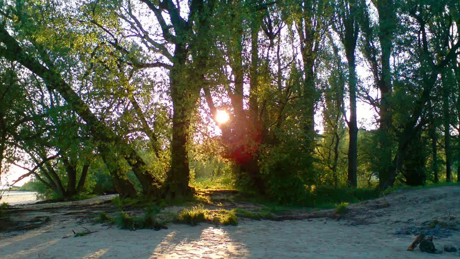 Beliggenhed Camping Elbecamp