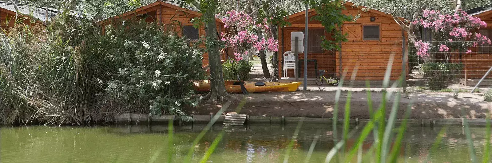 Chalet-Bungalow-Huisje Camping Eucaliptus
