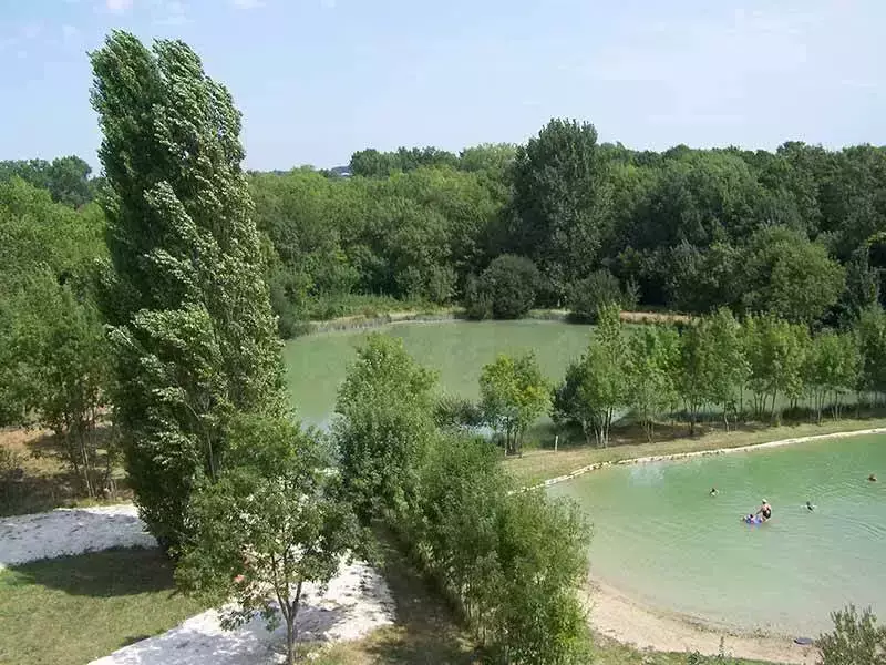 Koupání v jezeře nebo rybníku Camping Fleurs des Champs