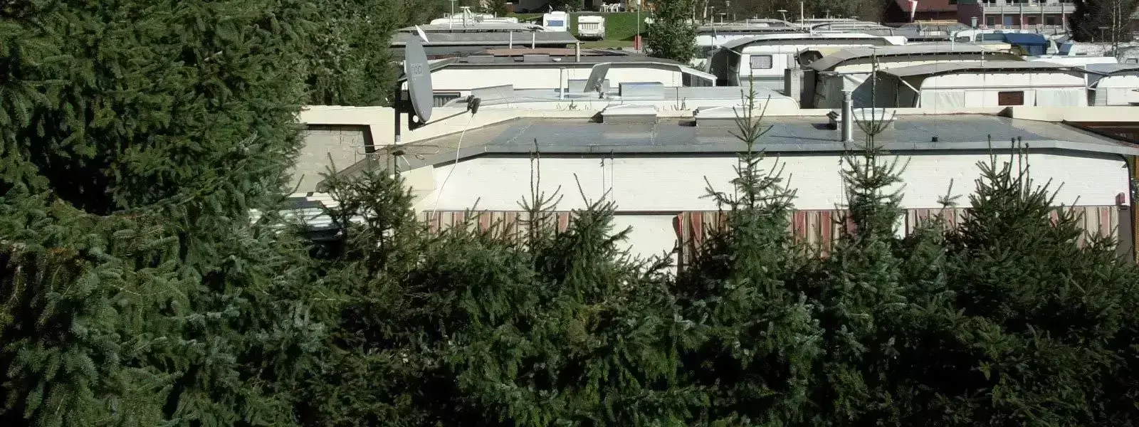 Camping Forellencamp