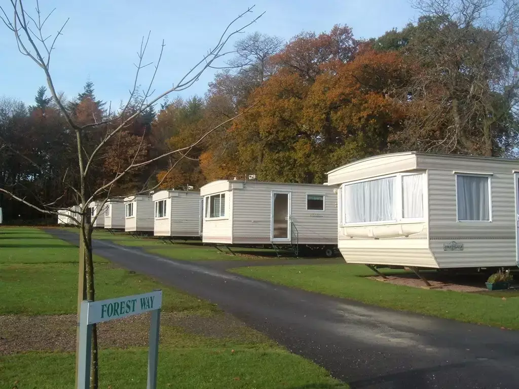 Generale Camping Forest Glade Holiday Park