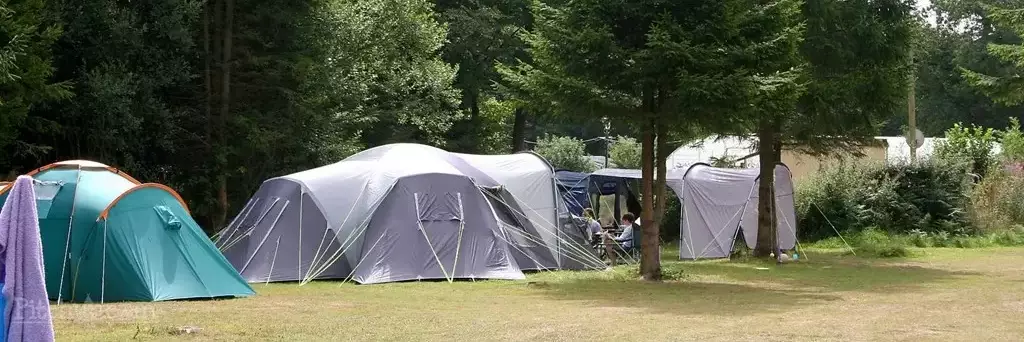 Tenda Camping Forest Glade Holiday Park