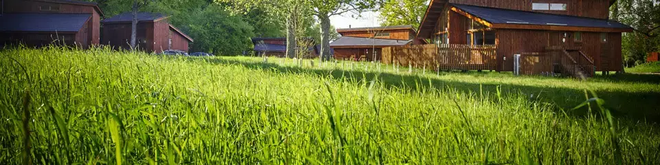 Cottage-Holiday Home Camping Forest of Dean