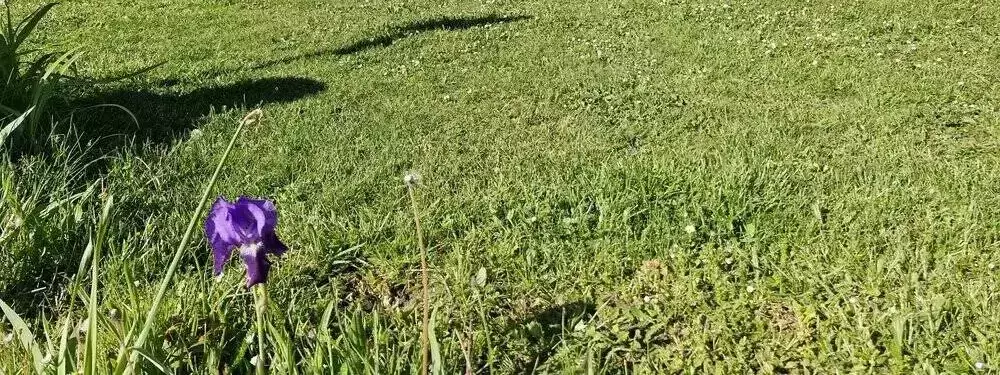 Parco giochi Camping Fraiteux